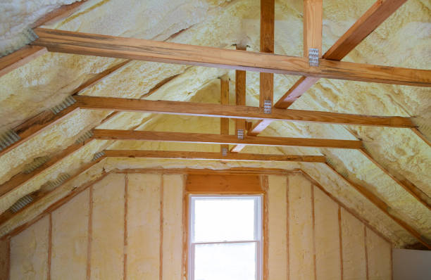 Best Specialized Insulation Services in Sargent, TX
