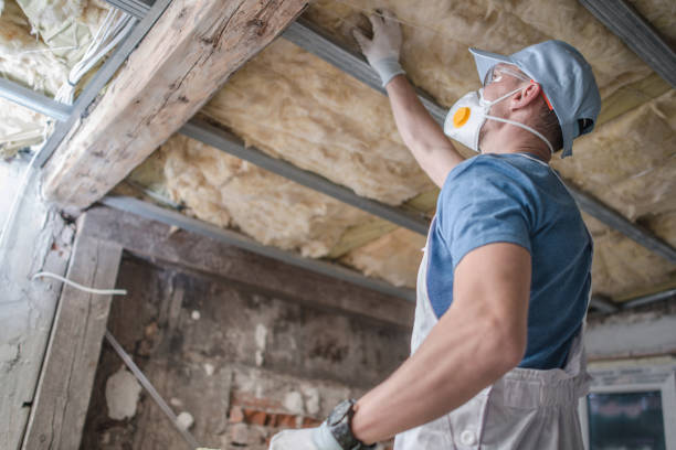 Best Eco-Friendly Insulation in Sargent, TX