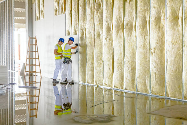 Best Insulation Maintenance and Repair in Sargent, TX